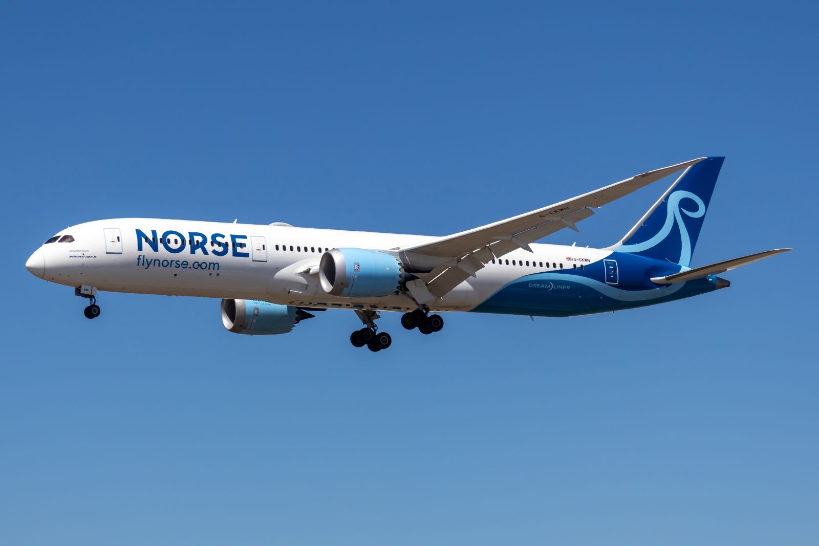 Norse Atlantic Airways are reportedly looking for an investor willing to buy the airline.
